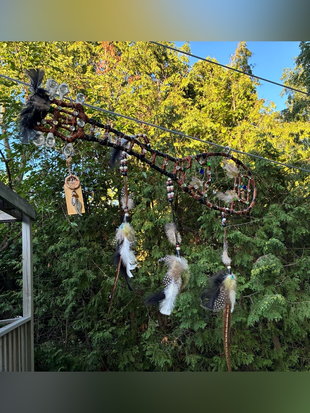 Large Handmade Banjo Feather Dreamcatcher Art
